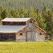 Old Barn by lynne5477