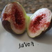 First Fig! by jb030958
