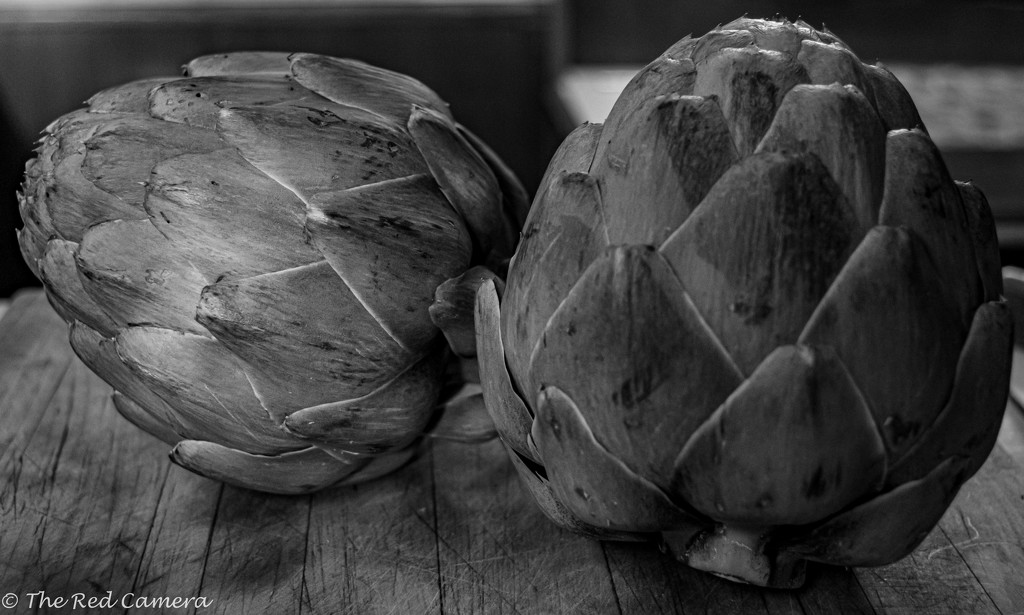 Artichokes in the Galley-14 by theredcamera