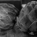 Artichokes in the Galley-14 by theredcamera