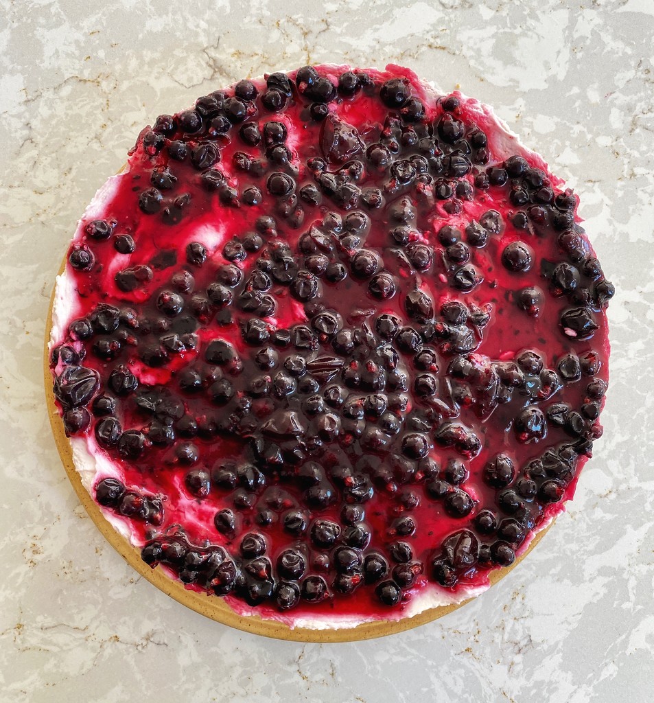 Black currant cheesecake by tinley23
