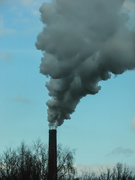 5th Mar 2020 - Pollution