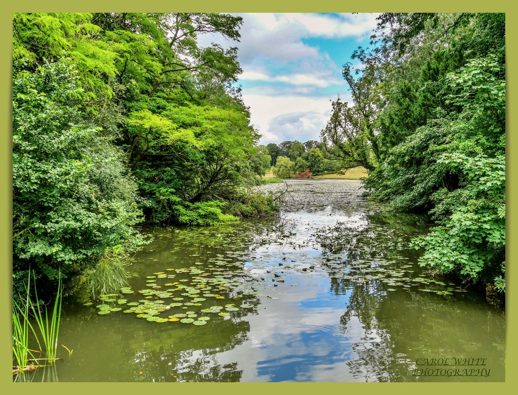 The Lake,Castle Ashby by carolmw