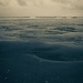 Split tone beach scene with shell-30 by theredcamera