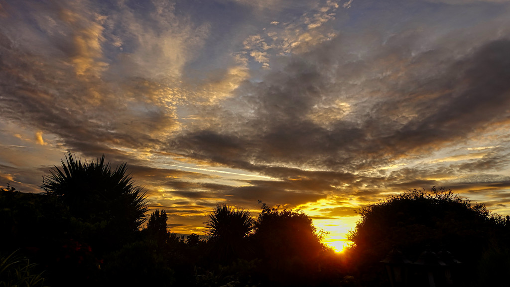 This Morning sky by tonygig