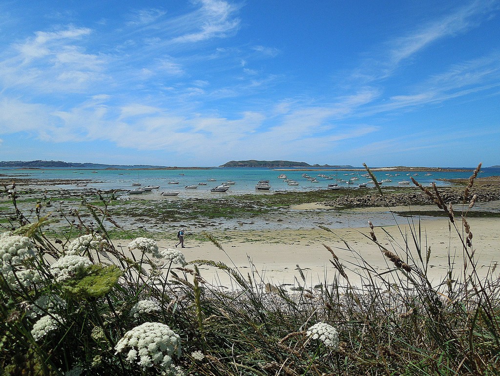 On the GR34 hiking trail : walking along Port Le Goff by etienne