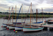 13th Jul 2020 - Boats at Morston Quay