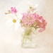 Flowers by newbank