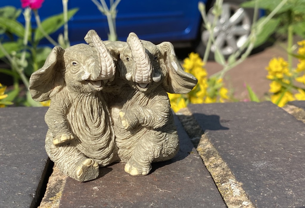 Two little elephants sitting on a wall by judithmullineux