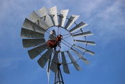 14th Jul 2020 - Windmill circle