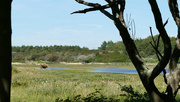 14th Jul 2020 - little lake in the dunes
