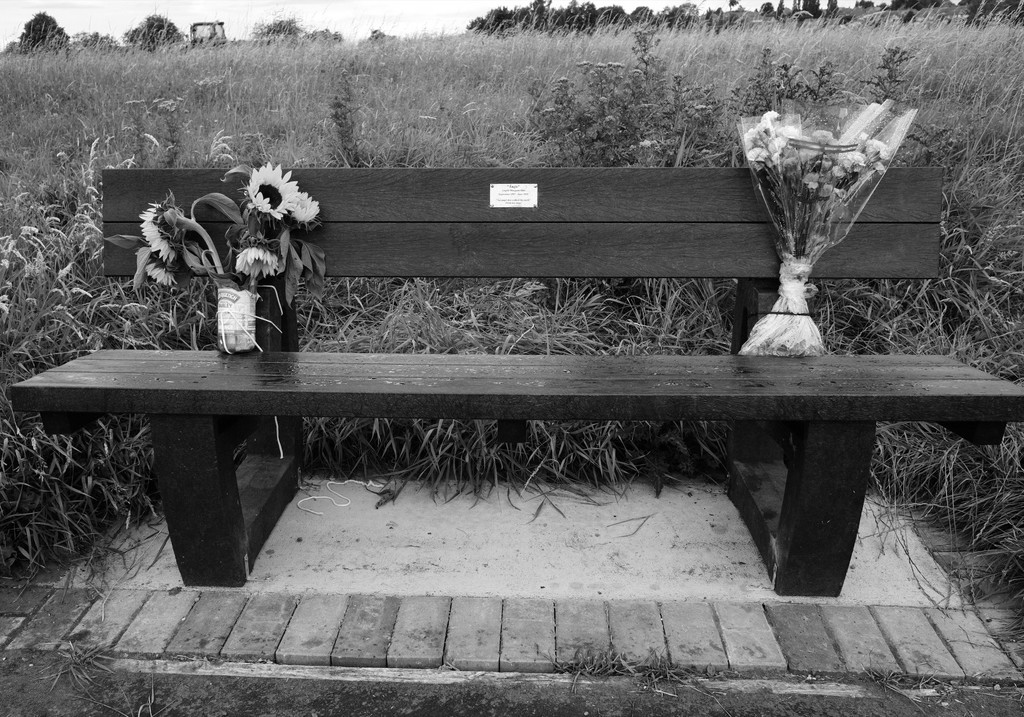Memorial Bench by allsop