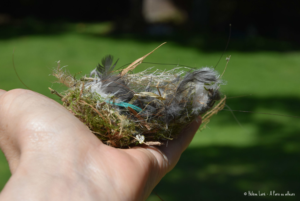tiny nest by parisouailleurs