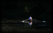 15th Jul 2020 - Rowing on the Canal