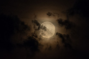 15th Jul 2020 - Moon in the clouds...