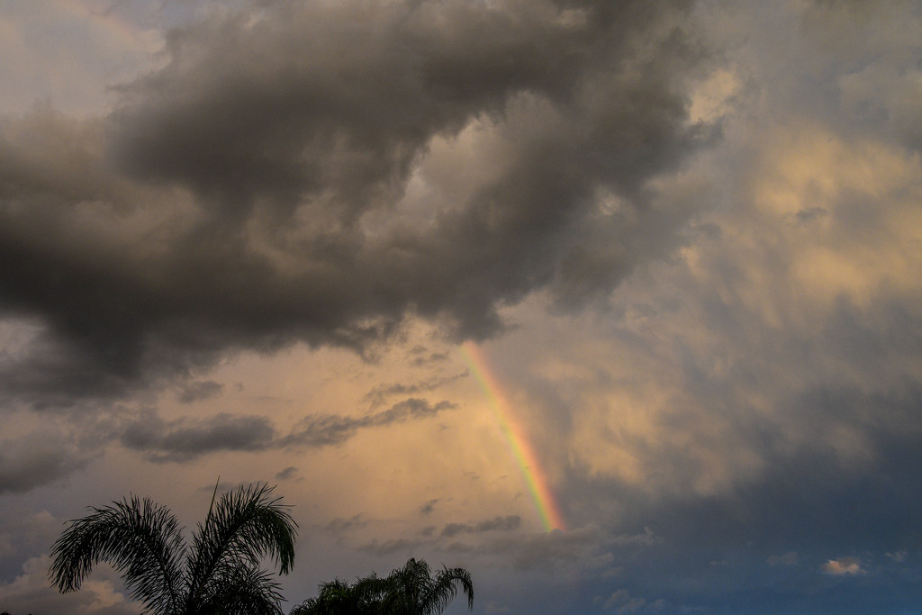 Promise of a rainbow by danette