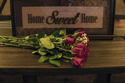 15th Jul 2020 - Home Sweet Somebody Else's Home