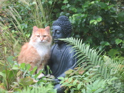 15th Jul 2020 - Buddha Buddies 