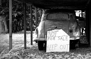 11th Jan 2011 - Not for sale