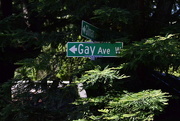2nd Jul 2020 - Gay Ave W