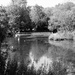Mill Pond by allsop