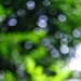 Abstract Bokeh by 4rky