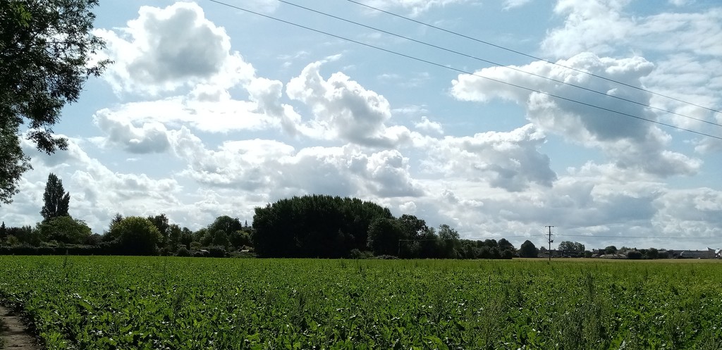 East Anglian Sky  by g3xbm
