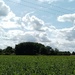 East Anglian Sky  by g3xbm