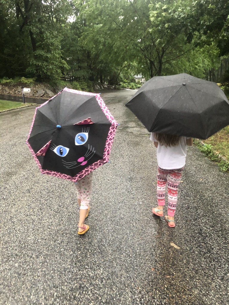 A little rain won’t stop our walk by mdoelger