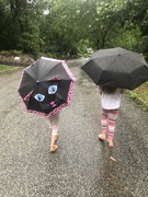 14th Jul 2020 - A little rain won’t stop our walk