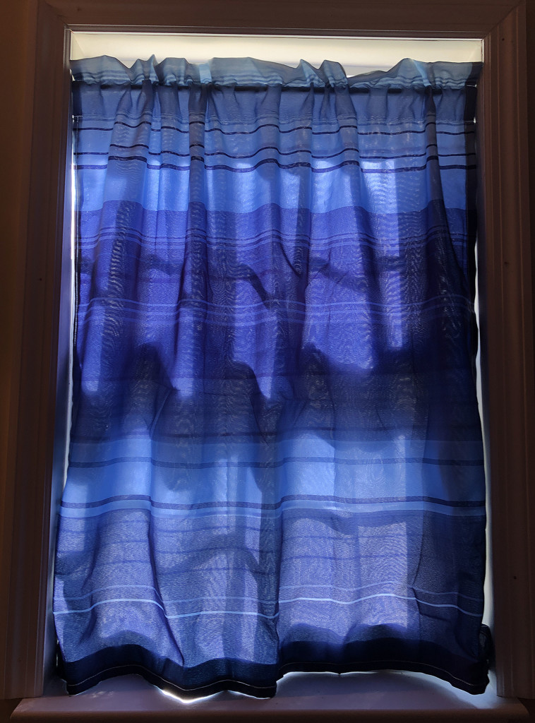 New Curtain by homeschoolmom