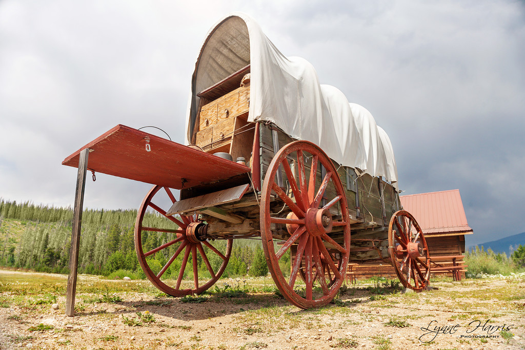 Covered Wagon by lynne5477