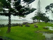 16th Jul 2020 - Wet day view Ferguson Park