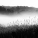 early morning fog by northy