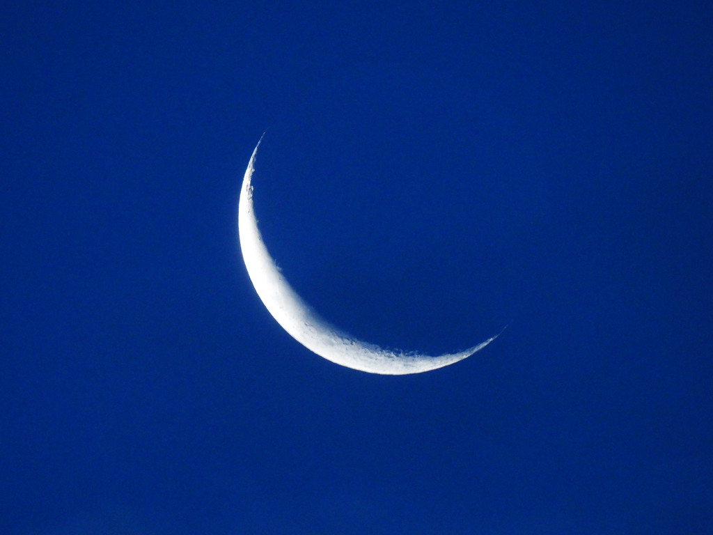 Smiling Crescent Moon by janeandcharlie