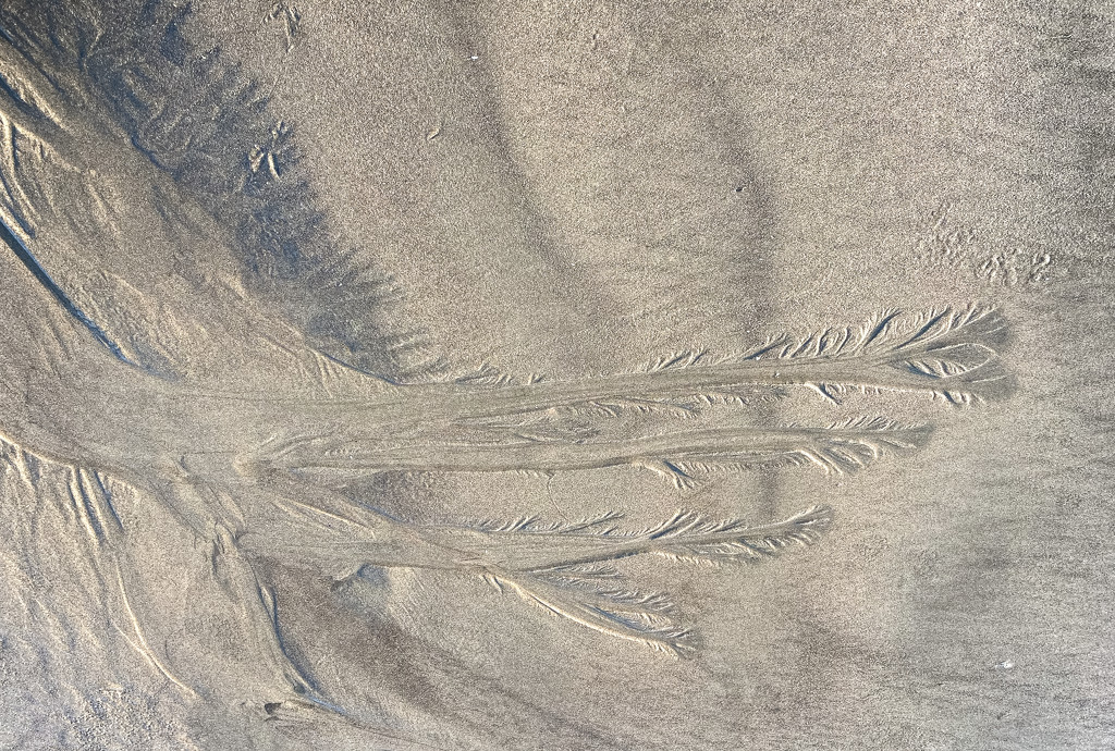 Sand Patterns  by jgpittenger