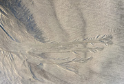 18th Jul 2020 - Sand Patterns 