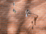 15th Jul 2020 - Clothesline Pulley