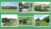 19th Jul 2020 - Canal and countryside.