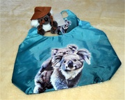 20th Jul 2020 - Jordan T & My Koala Folding Shopping Bag ~  