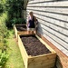 Today I Planted Seeds!  by susiemc