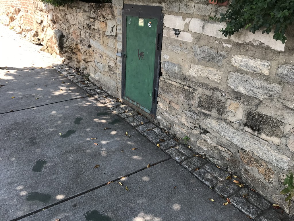 Mysterious Door by gratitudeyear
