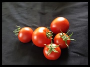 19th Jul 2020 - Freshly picked tomatoes