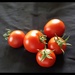 Freshly picked tomatoes by rosiekind