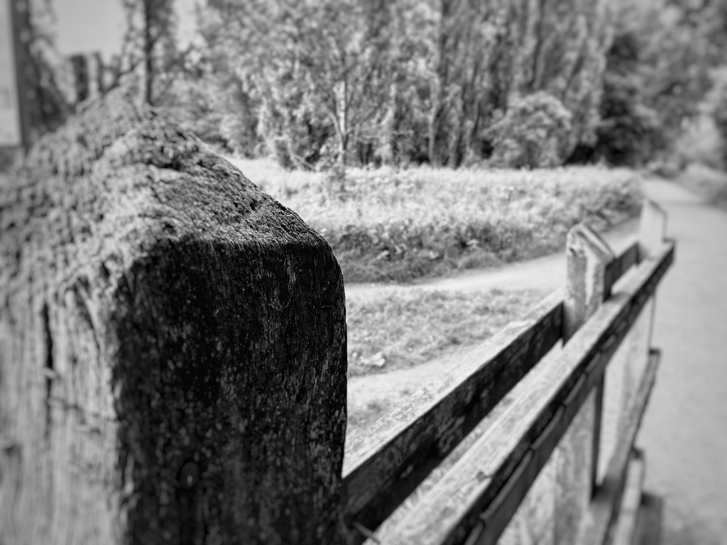Gate posts by mollw