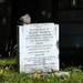 A pigeon sat on a tombstone contemplating mortality by janturnbull