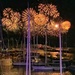 Fireworks.  by cocobella