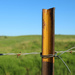 fence post by mcsiegle