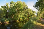 19th Jul 2020 - Poudre River at Prospect Ponds