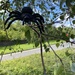 spider in a tree  by judithmullineux